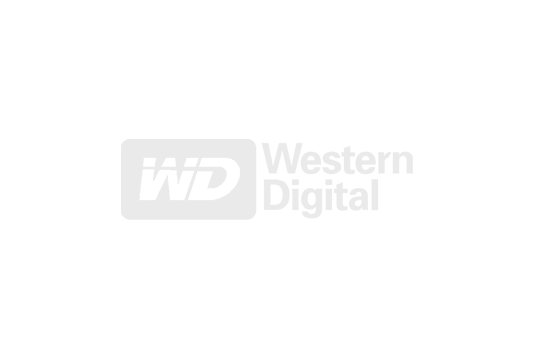 brands-western-digital