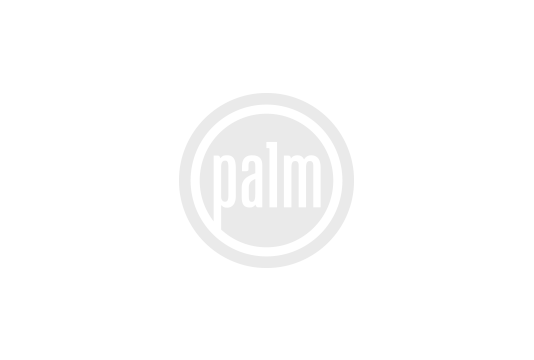 brands_palm